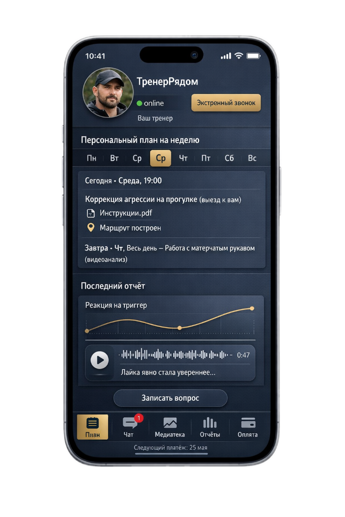 Индивидуальные тренировки